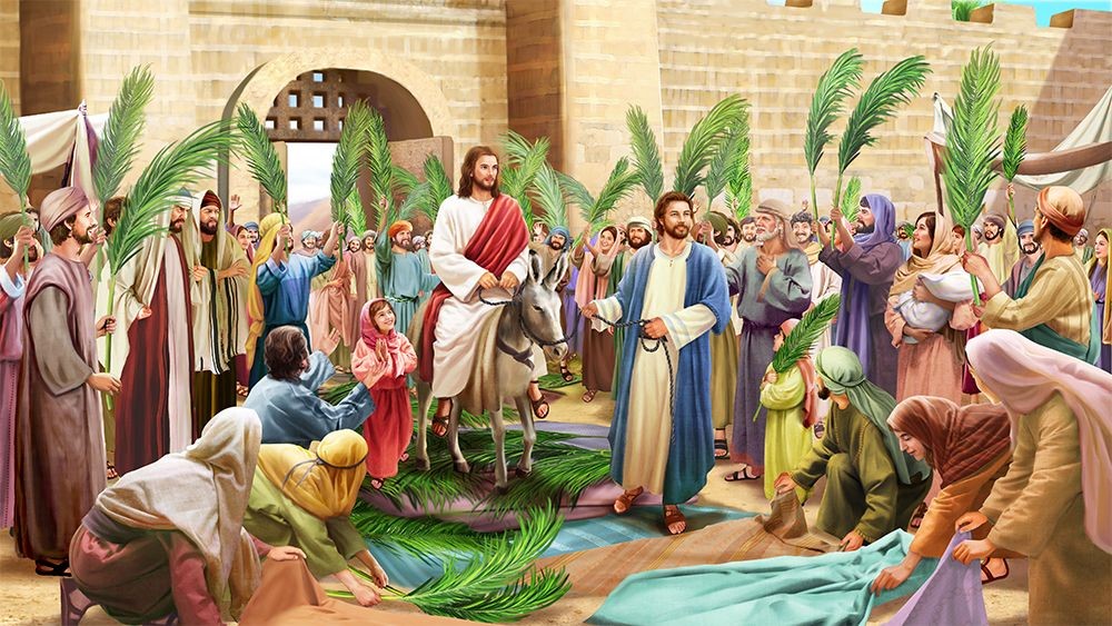 Giáo Lý Hàng Tuần: Chúa Nhật Lễ Lá-Năm B | GIÁO PHẬN MỸ THO